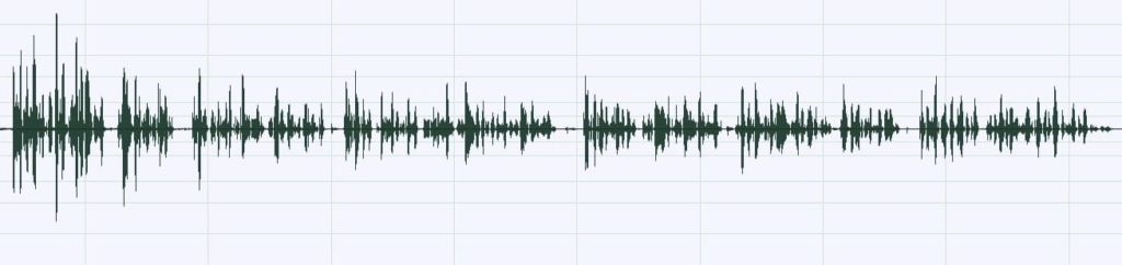 waveform - podcast jargon