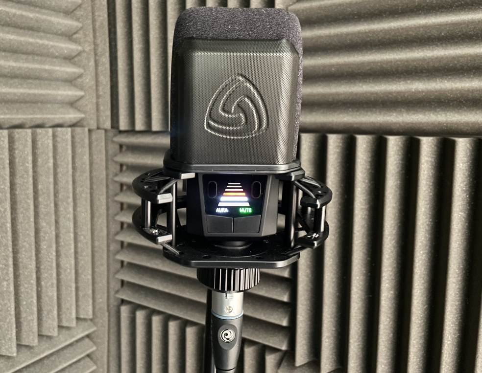 Lewitt RAY Review